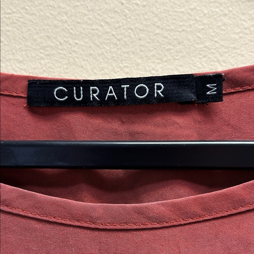 Curator Rust Dress - Picture 2 of 5